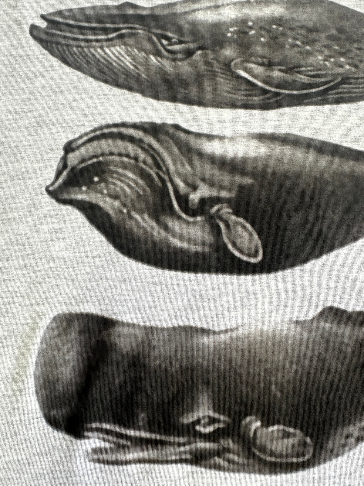 Whales Grey Marle Mens Tee - Image 2