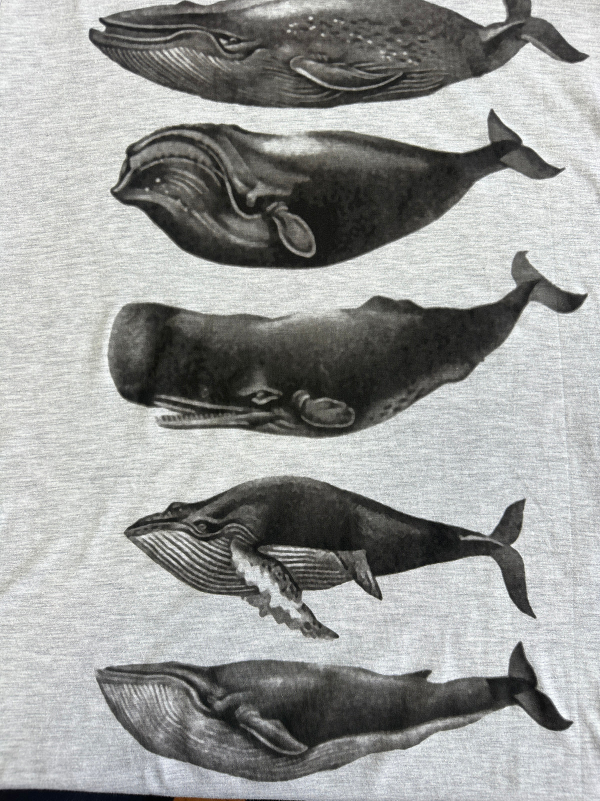 Whales Grey Marle Mens Tee - Image 3