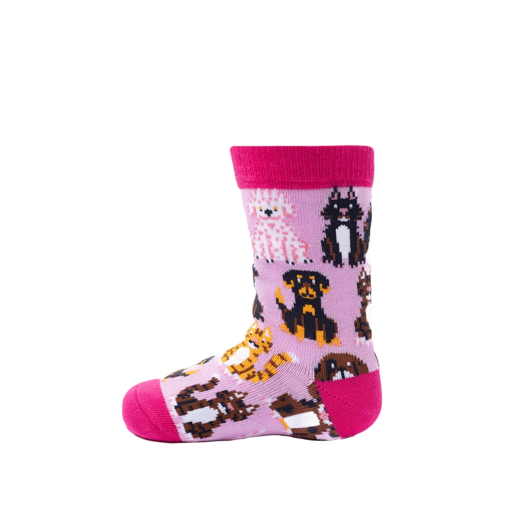 Cats & DogsKid Socks Ages 2-4 - Image 2